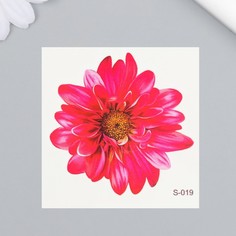 Татуировка на тело цветная "Хризантема" 6х6 см No Brand