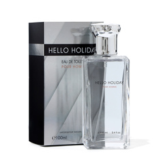 Туалетная вода мужская Hello Holiday 100 мл No Brand