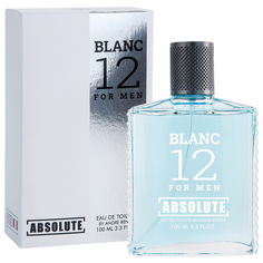 Туалетная вода Today Parfum мужская Absolute Blanc 12 100мл