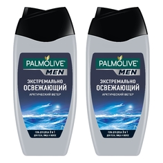Гель Palmolive для душа 3в1 Арктический ветер men active 450 мл х 2 шт