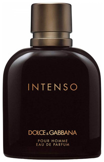 Парфюмерная вода Dolce & Gabbana Intenso Pour Homme 125 мл