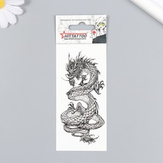 Татуировка на тело Дракон 5,6х12 см No Brand