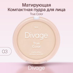 Пудра Divage компактная True Color № 03 beige
