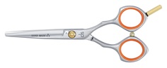 DS,Парикмахерские ножницы прямые,6 D.S