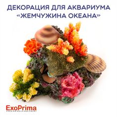 Декорация для аквариума EXOPRIMA Жемчужина океана, 20х12.5х13.5см