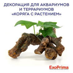Декорация для аквариумов и террариумов EXOPRIMA Коряга с растением 12х9х8.5см