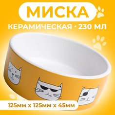 Миска Пижон Опасные коты 9214850, бело-оранжевая, 12,5x4,5 cм