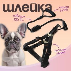 Шлейка с поводком для собак и кошек MiloPets, черный, полиэстер, 120 см, L, 43-55 см