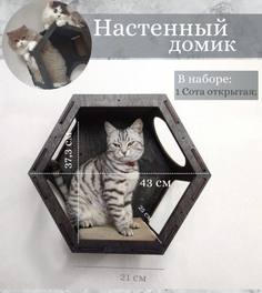 Домик для кошек Ais Laser коричневый настенный, 43х25х37см