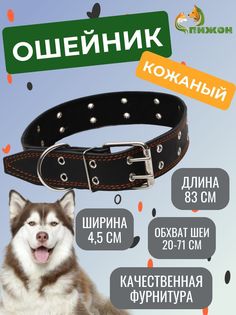 Ошейник Пижон кожаный на синтепоне, безразмерный, 83 х 4.5 см, чёрный