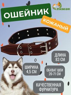 Ошейник Пижон кожаный на синтепоне, безразмерный, 83 х 4.5 см, коричневый