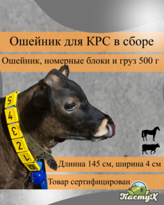 Маркировочный ошейник ля КРС ПАСТУХ, синий, пластик, 125x4 см