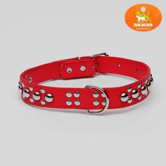 Ошейник Сириус, кожзам с заклёпками, 57 х 3 см, красный Пижон