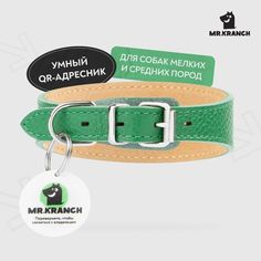 Ошейник-селедка для собак Mr.Kranch с QR-адресником зеленый 19-23 см
