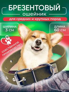 Ошейник для собак, для средних и крупных пород, обхват шеи 37-51см, ширина 30мм, хаки Strong 21