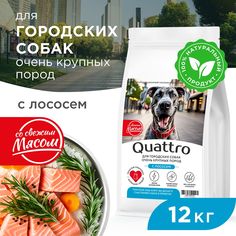Сухой корм для собак QUATTRO, большие породы, для живущих в городе, с лососем, 12 кг