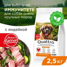 Сухой корм для собак QUATTRO, большие породы, забота об иммунитете, с индейкой, 2,5 кг