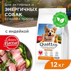 Сухой корм для собак QUATTRO, средние породы, для активных и энергичных, индейка, 12 кг