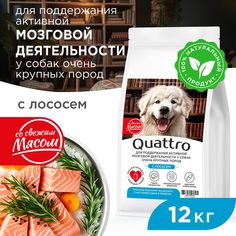 Сухой корм для собак QUATTRO, большие породы, для мозговой деятельности, лосось, 12 кг
