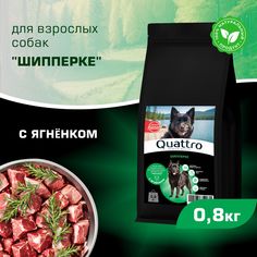 Сухой корм для собак QUATTRO для породы Шипперке, с ягненком, 800 г