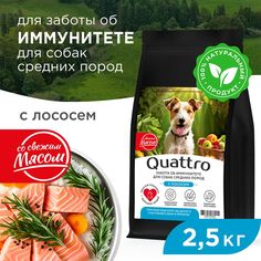 Сухой корм для собак QUATTRO, средние породы, забота об иммунитете, с лососем, 2,5 кг