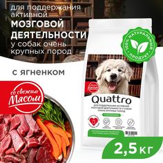 Сухой корм для собак QUATTRO, большие породы, для мозговой деятельности, с ягненком 2,5 кг