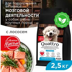 Сухой корм для собак QUATTRO, большие породы, для мозговой деятельности, лосось, 2,5 кг