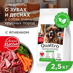 Сухой корм для собак QUATTRO, большие породы, для заботы зубов и десен, с ягненком, 2,5 кг