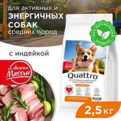 Сухой корм для собак QUATTRO, средние породы, для активных и энергичных, индейка, 2,5 кг