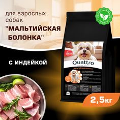 Сухой корм для собак QUATTRO для породы Мальтийская болонка, с индейкой, 2,5 кг