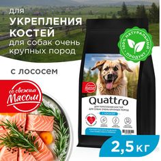 Сухой корм для собак QUATTRO, большие породы, для укрепления костей, с лососем, 2,5 кг