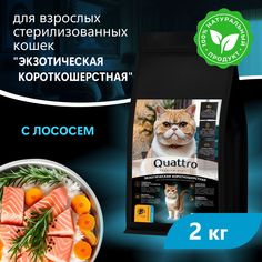 Сухой корм для кошек QUATTRO Экзотическая короткошерстная, с лососем и хамсой, 2 кг