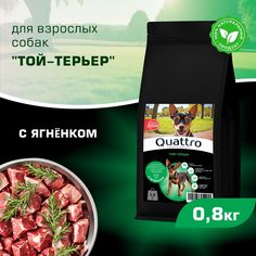 Сухой корм для собак QUATTRO для породы Той-терьер, с ягненком, 800 г