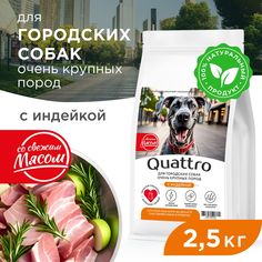 Сухой корм для собак QUATTRO, большие породы, для живущих в городе, с индейкой, 2,5 кг