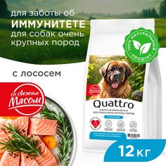 Сухой корм для собак QUATTRO, большие породы, забота об иммунитете, с лососем, 12 кг