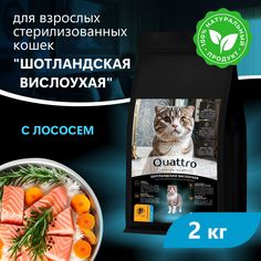 Сухой корм для кошек QUATTRO Шотландская вислоухая, лосось и хамса, 2 кг