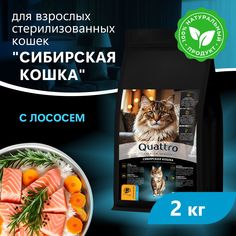 Сухой корм для кошек QUATTRO Сибирская кошка, с лососем и хамсой, 2 кг