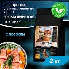 Сухой корм для кошек QUATTRO Сомалийская кошка, с лососем и хамсой, 2 кг