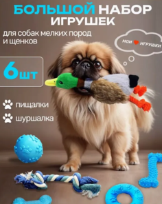 Набор игрушек для собак, разноцветные, текстиль, резина, 6 шт No Brand