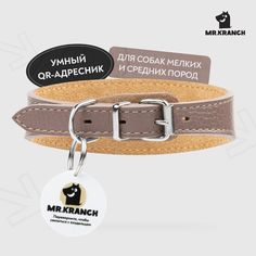 Ошейник-селедка для собак Mr.Kranch с QR-адресником бежевый 19-23 см