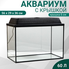 Аквариум Пижон прямоугольный с крышкой, 60 литров, 56 х 29 х 36/41 см, чёрный