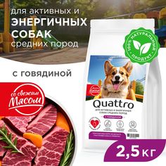 Сухой корм для собак QUATTRO, средние породы, для активных и энергичных, говядина, 2,5 кг
