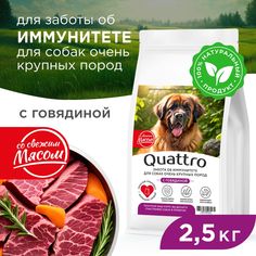 Сухой корм для собак QUATTRO, большие породы, забота об иммунитете, с говядиной, 2,5 кг