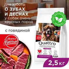 Сухой корм для собак QUATTRO, большие породы, для заботы зубов и десен, с говядиной 2,5 кг