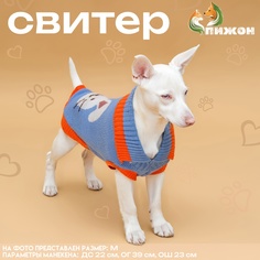 Свитер для собак Пижон Зайка унисекс, XS, разноцветный, длина спины 17 см