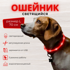 Ошейник для собак ZDK Walk со светодиодами, цвет красный, 70см