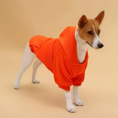 Толстовка для собак, с капюшоном, унисекс, оранжевая, текстиль, 2XL, длина спины 55 см No Brand