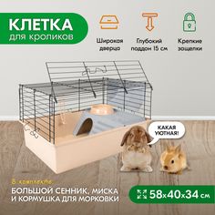 Клетка для кроликов PetTails складная, миска, 2 кормушки, бежевая, черная, 58x40x34 см