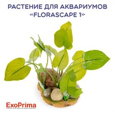 Растение для аквариумов EXOPRIMA Florascape 1, 15,5х12х21,5см