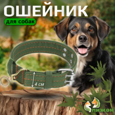 Ошейник для собаки Пижон, четырехслойный, полиэстер, зеленый, ОШ 54-60 см, 65 х 4 см